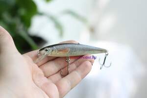 Minnow DM01 шумовой