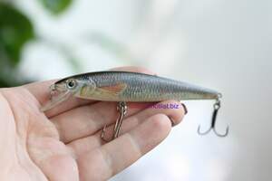 Minnow DM01 шумовой