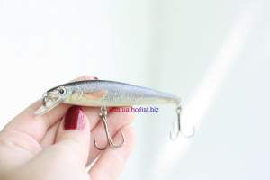 Minnow DM01 шумовой